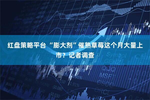 红盘策略平台 “膨大剂”催熟草莓这个月大量上市？记者调查